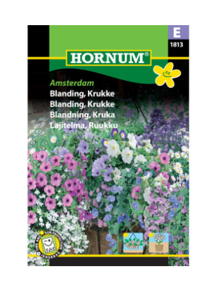 Blomsterfrø E Amsterdam krukke blå