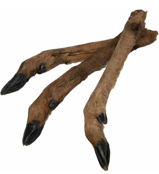 Hjorteben med pels 30-40 cm