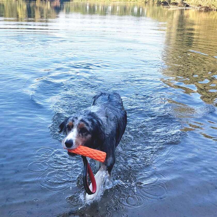 Floating Wafer stick med elastik