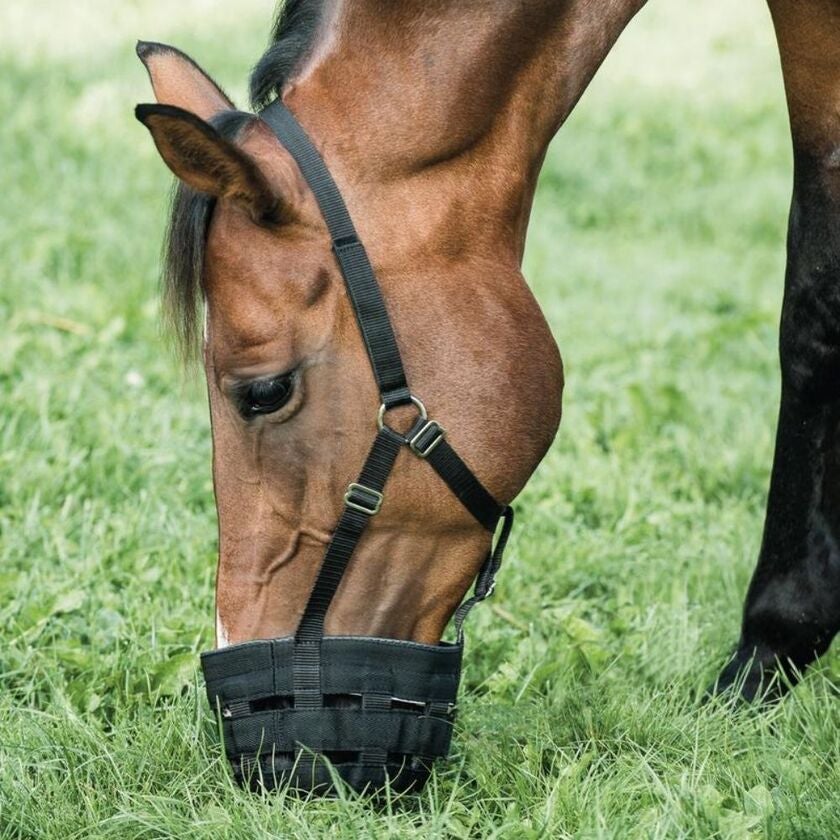 Græsreducer med grime