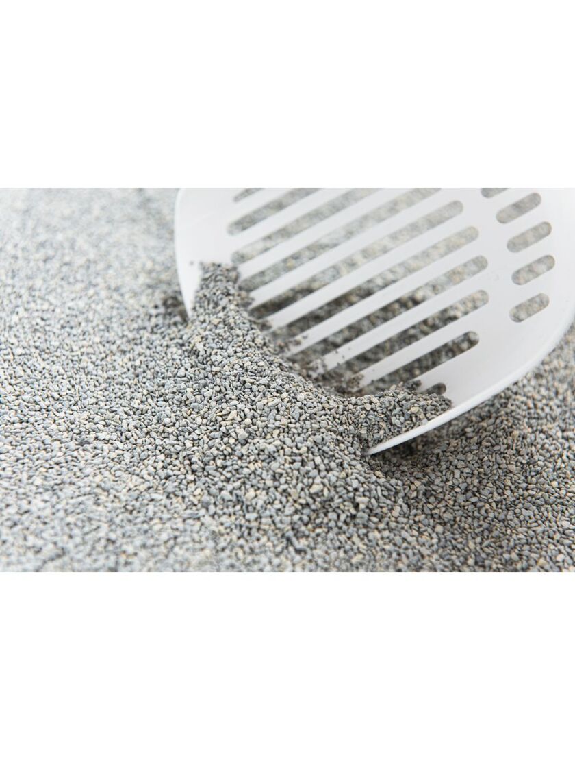 Extreme Classic Baby Powder 14 kg