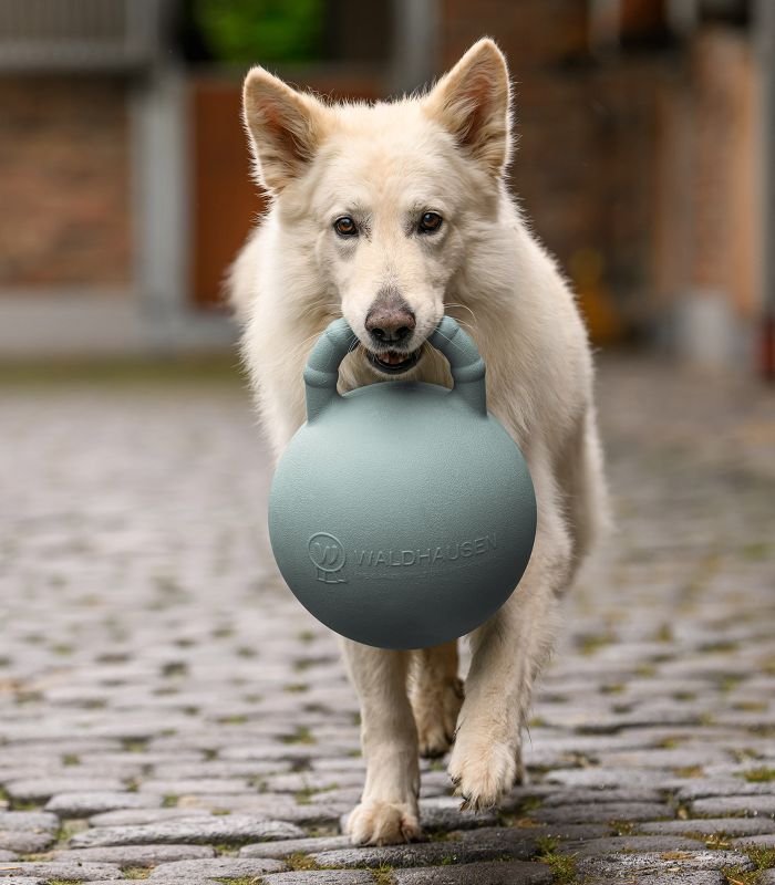Fun Ball 