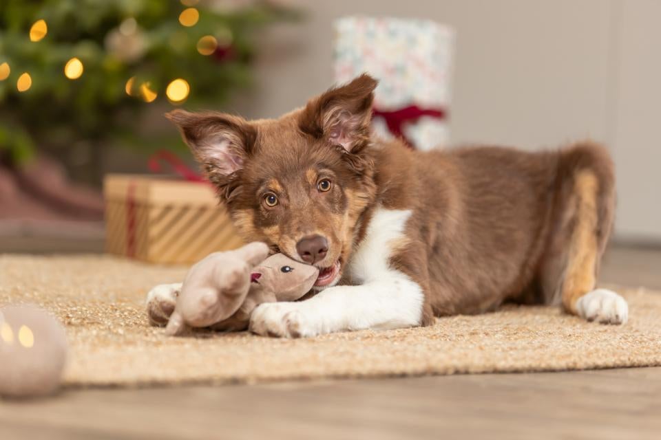 XMAS julepeberkagepar på reb
