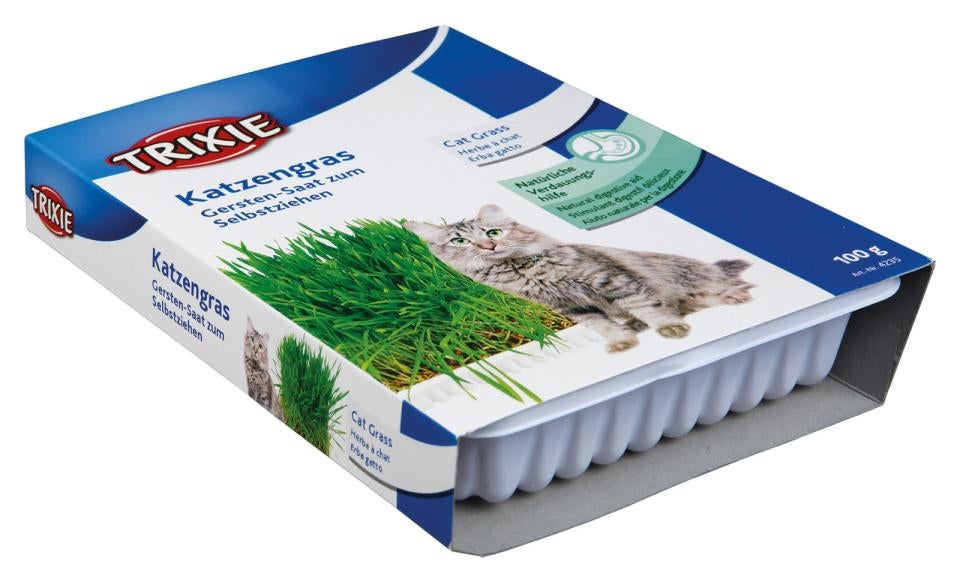 Kattegræs 100 gram