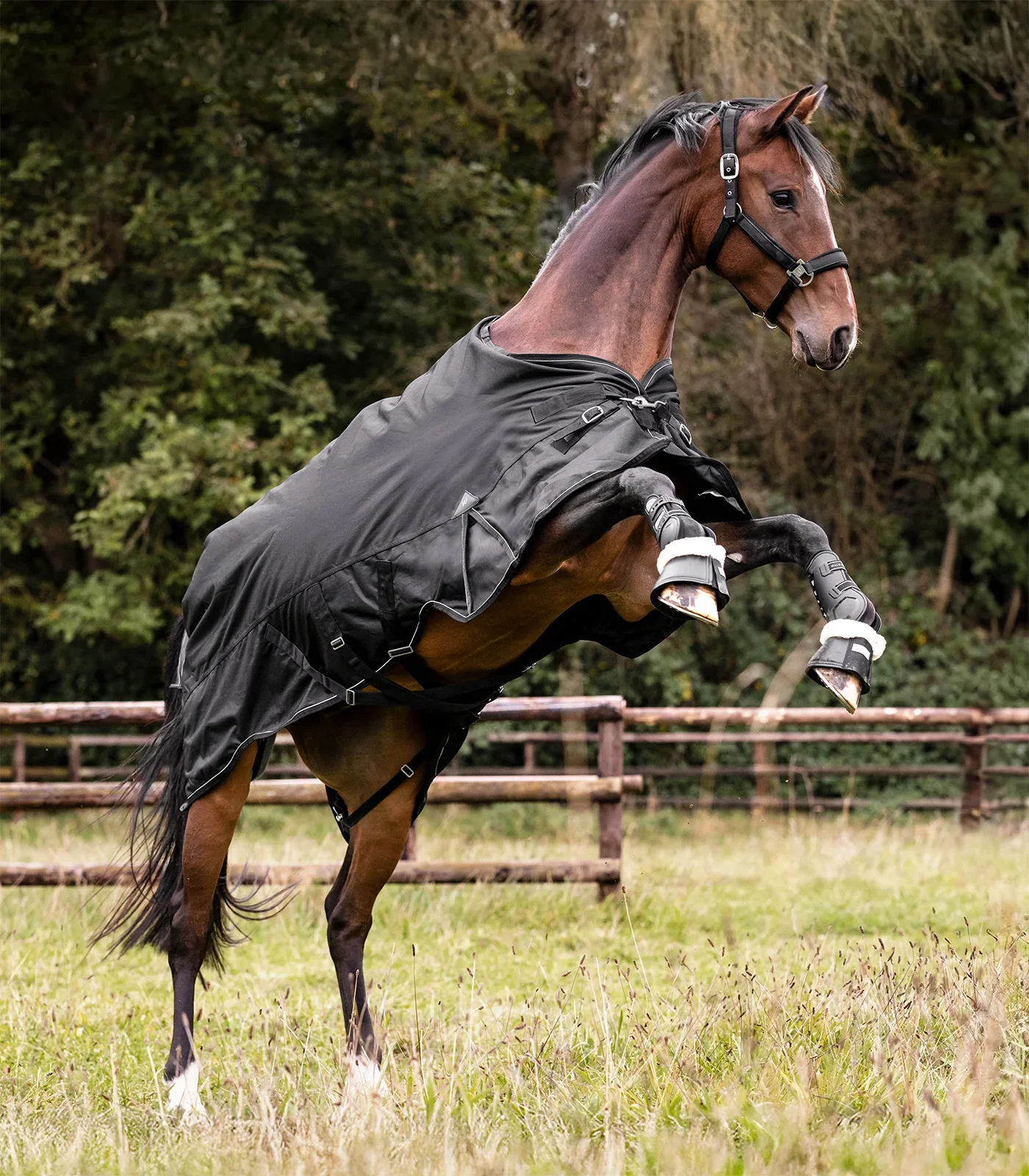 Scandic vinterdækken 300 gram