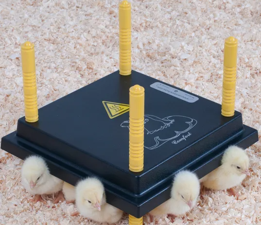 Kyllingemoder 40x40 cm