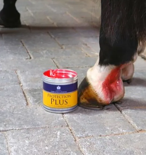 Protection Plus 500 gram