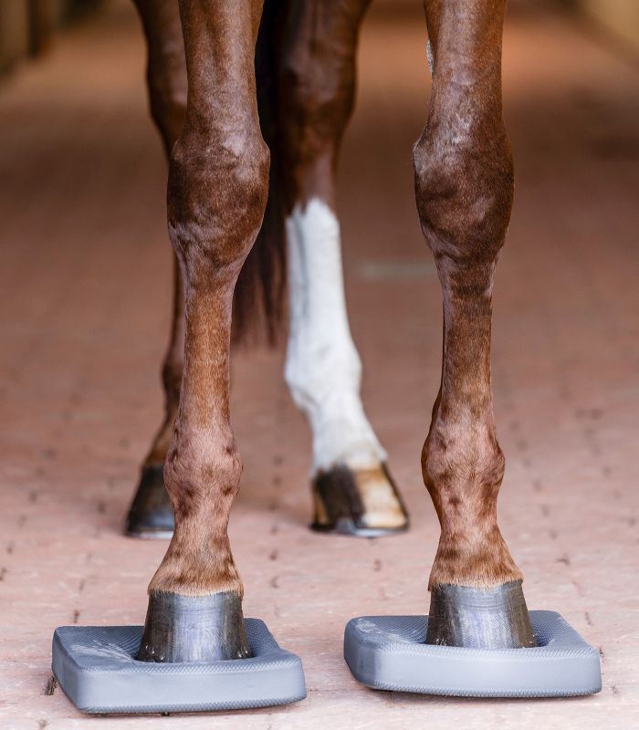 Health + Care balance pads 