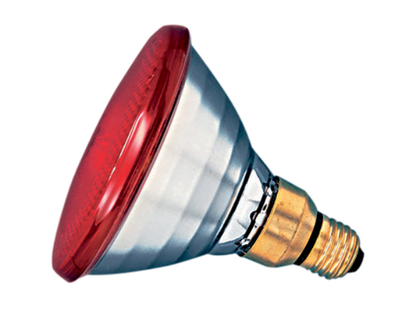 Philips varmepære 100w, rød