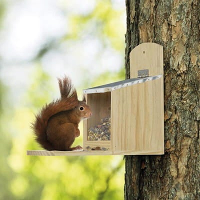 Nøddeautomat med zinktag til egern