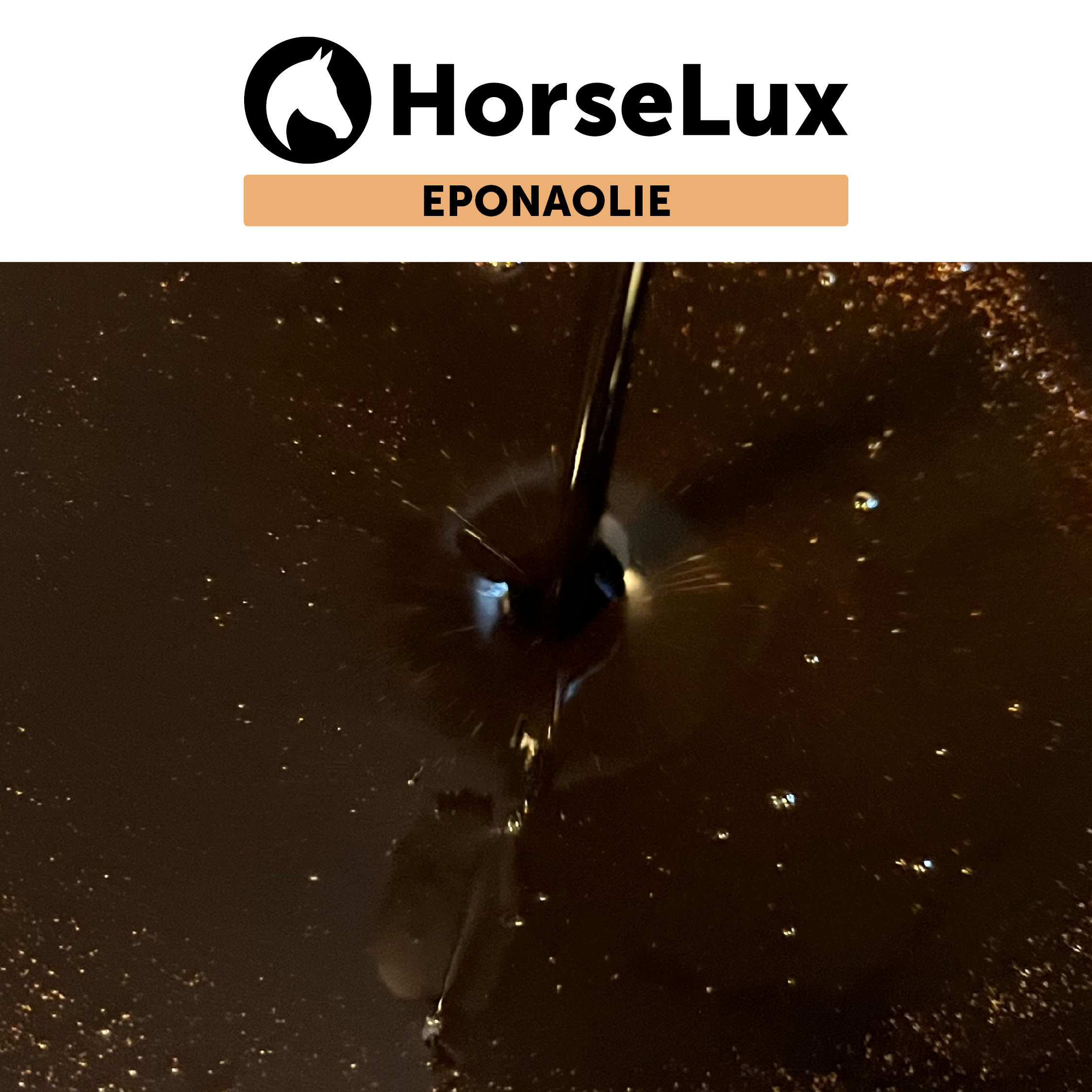 Epona Olie 5 L