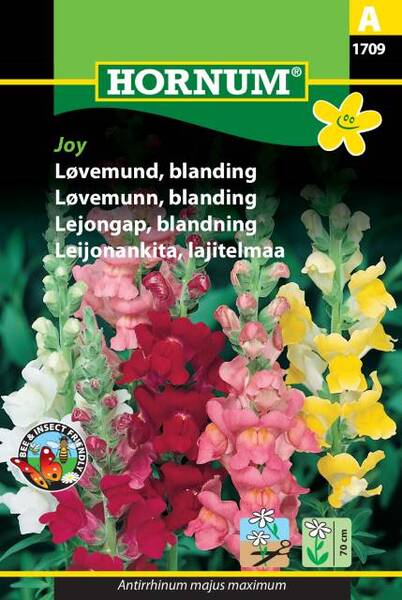 Blomsterfrø A Løvemund