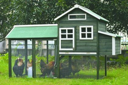 Hønsehus usamlet grøn 