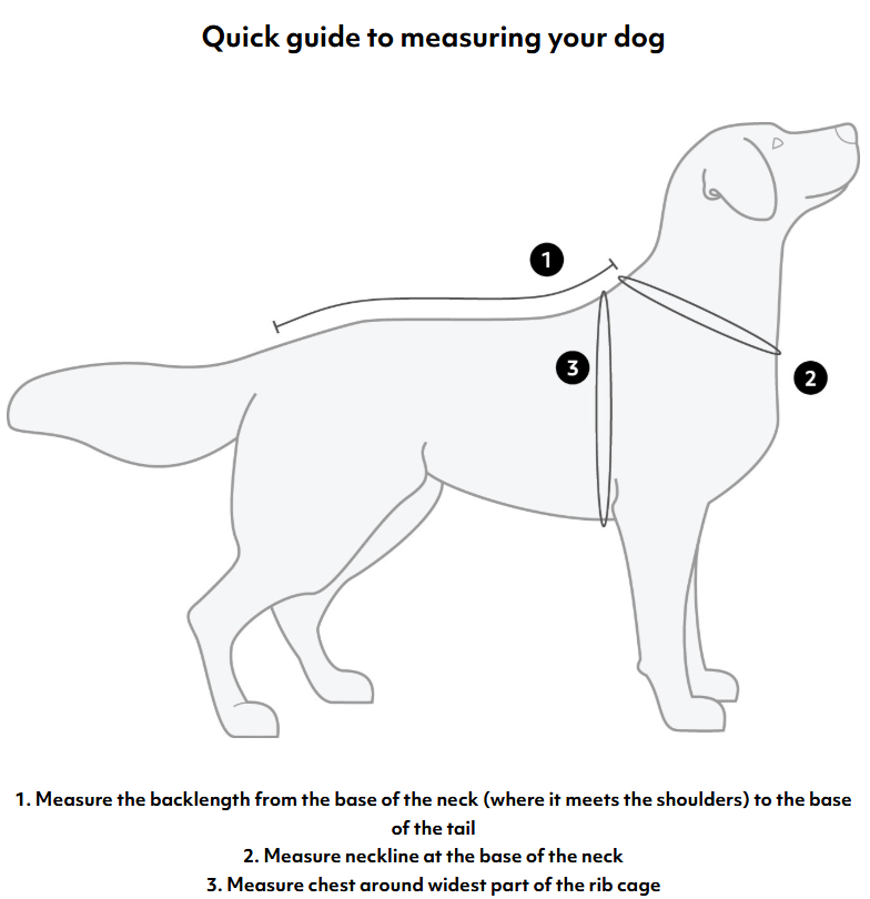 Expedition Parka II hundedækken