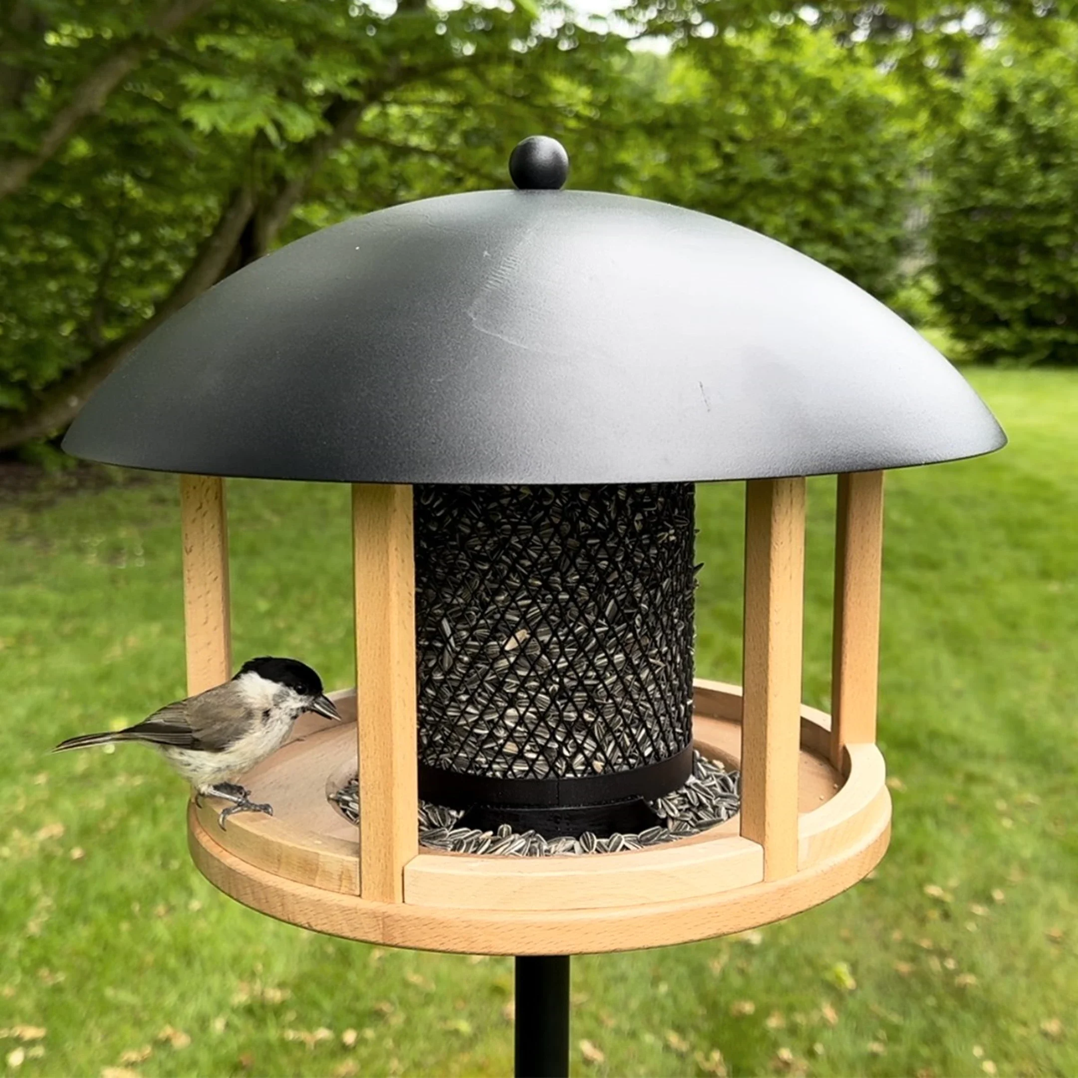 Fuglefoderhus På Spyd Cottage