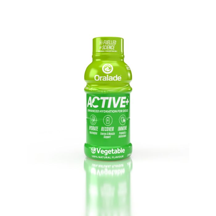 Active veggie med grøntsagssmag 250 ml