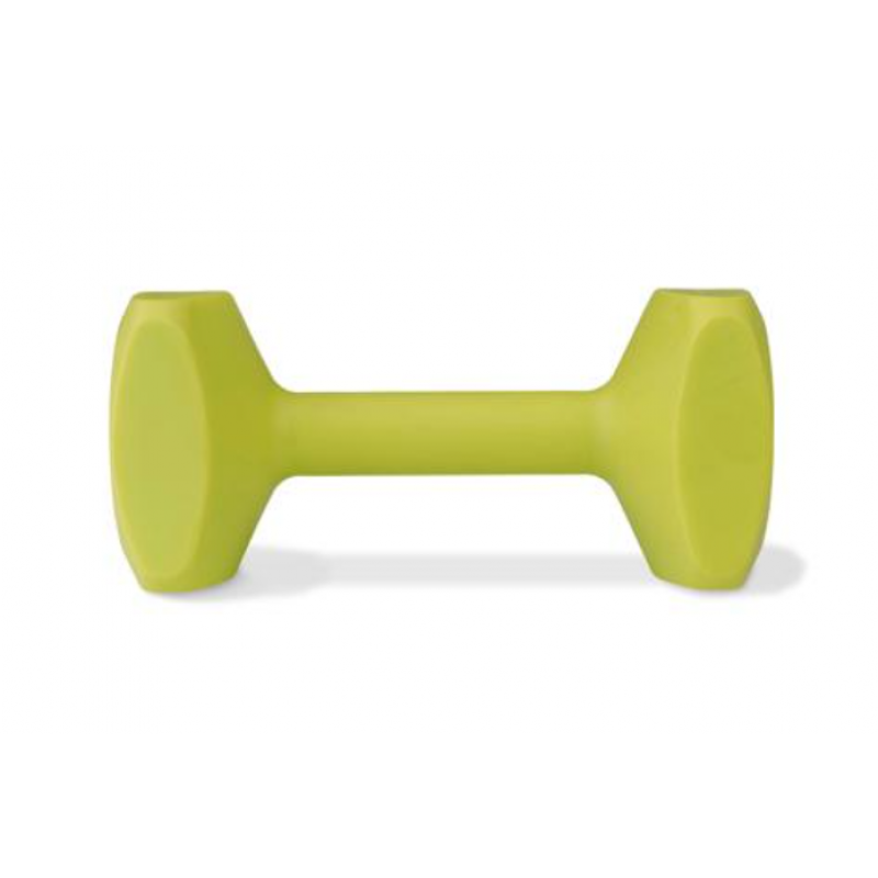Training Dumbbell