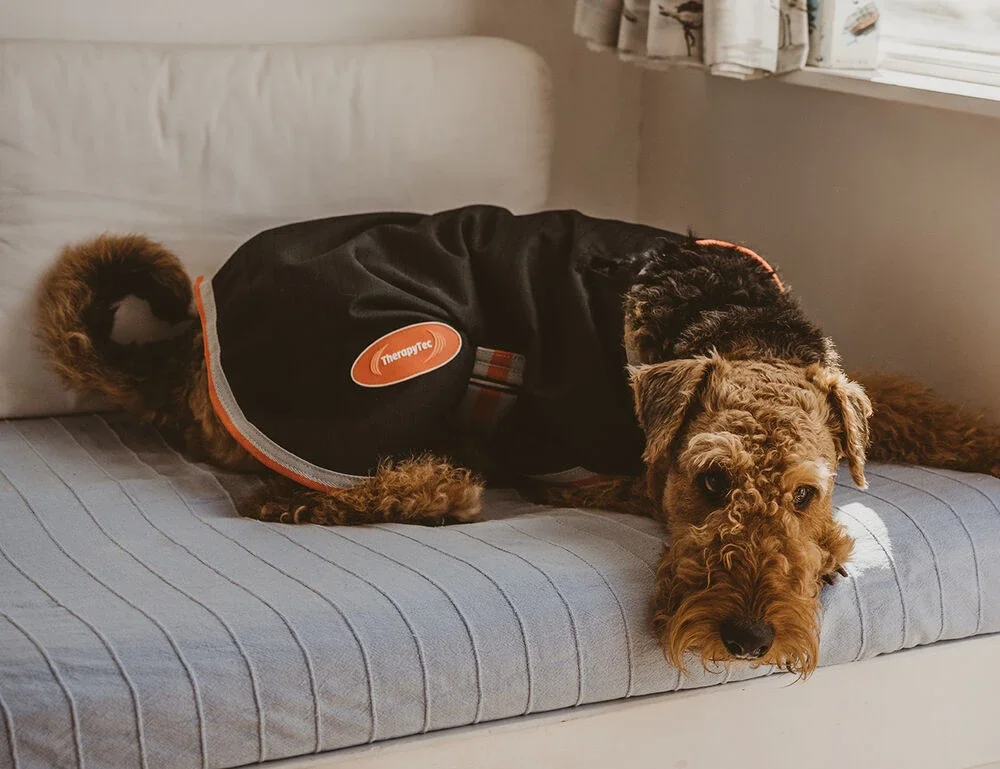 Therapy-Tec dog coat