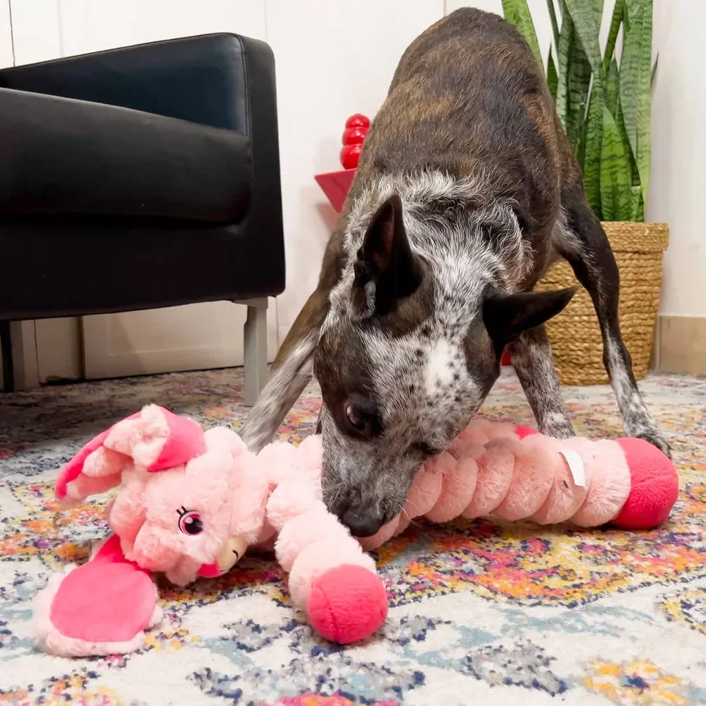 Shakers Crumples Bunny XL