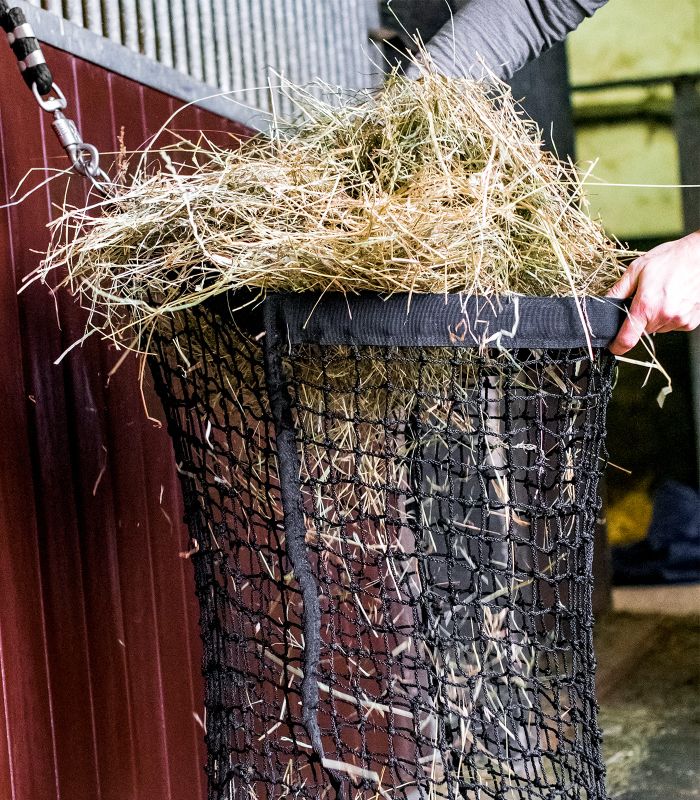 Hønet med fyldehjælp 