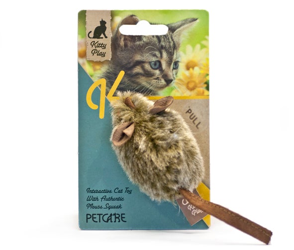 Kitty play squeaking mouse
