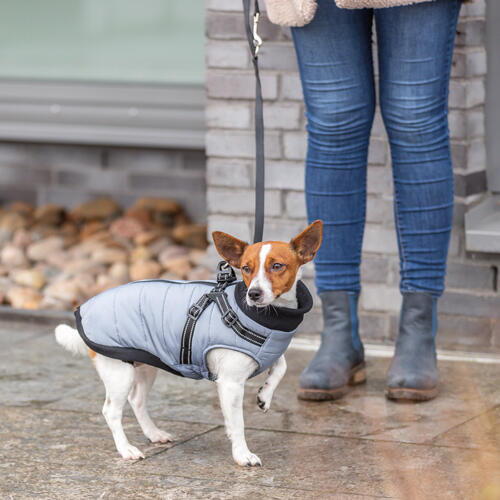Pontis Harness Coat