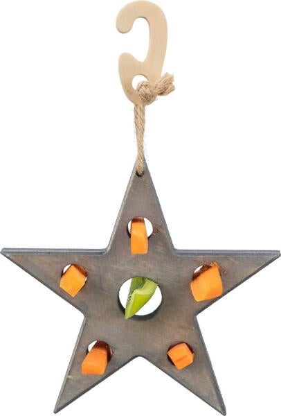 Xmas lege og snackstjerne til gnaver