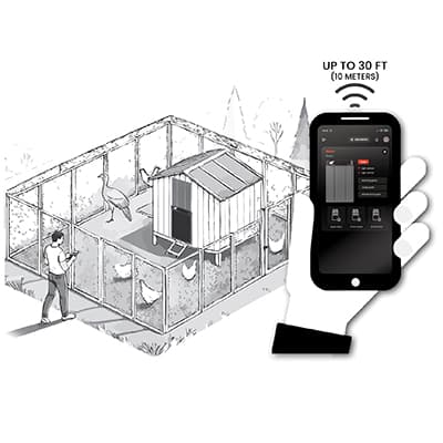 Hønsedør auto giant