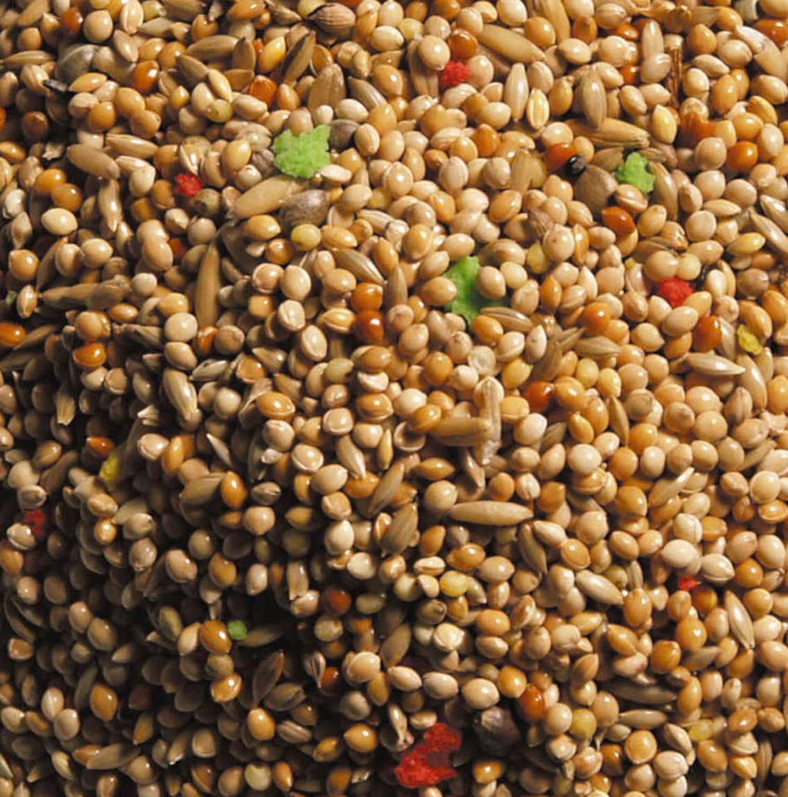 King standard undulat 15 kg