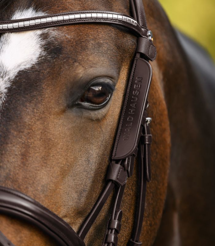 Blinkers