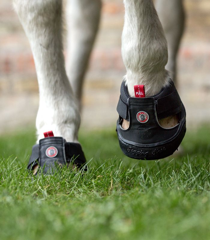 Trekking hovsko regular 1 stk.