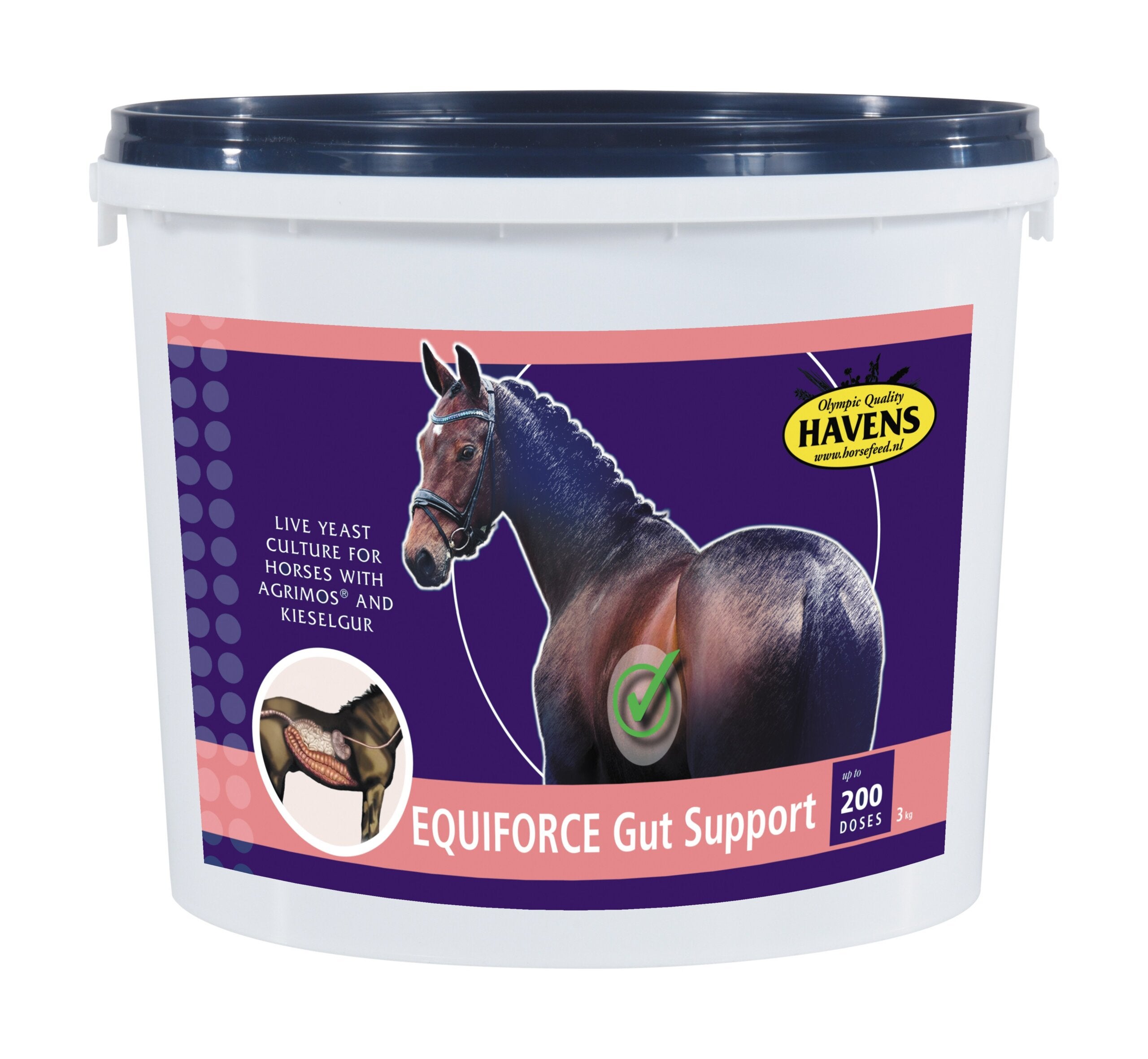 EquiForce gut support