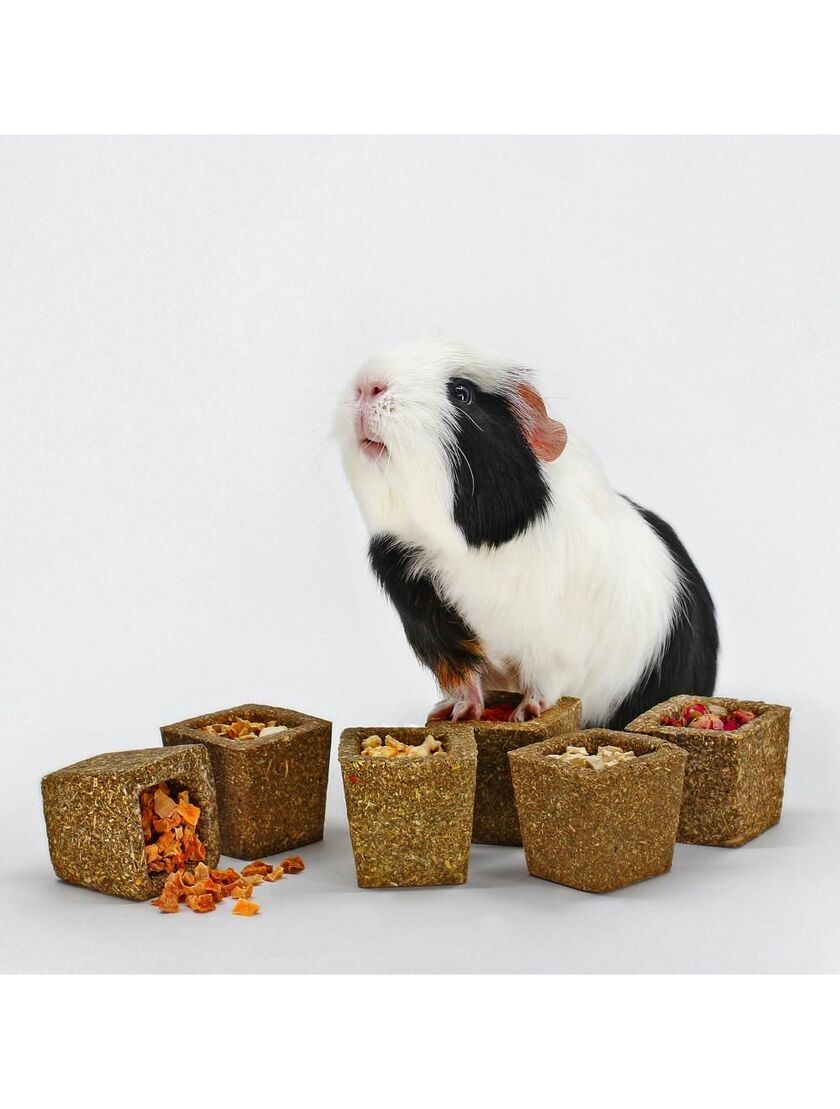 Skål af græseng med fyld 