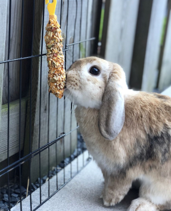 StarSnack stickies Vegi 2×56 gram