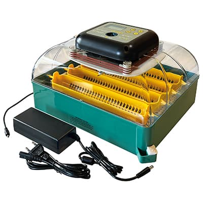 Rugemaskine auto-vend 24 æg