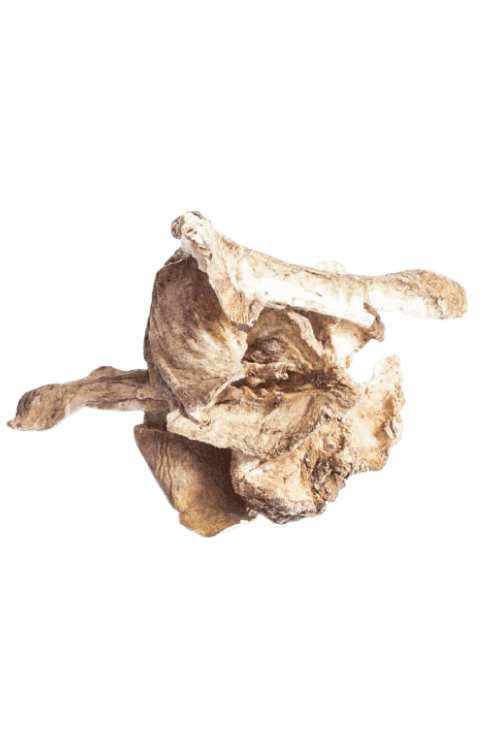 Cikorierødder 120 gram