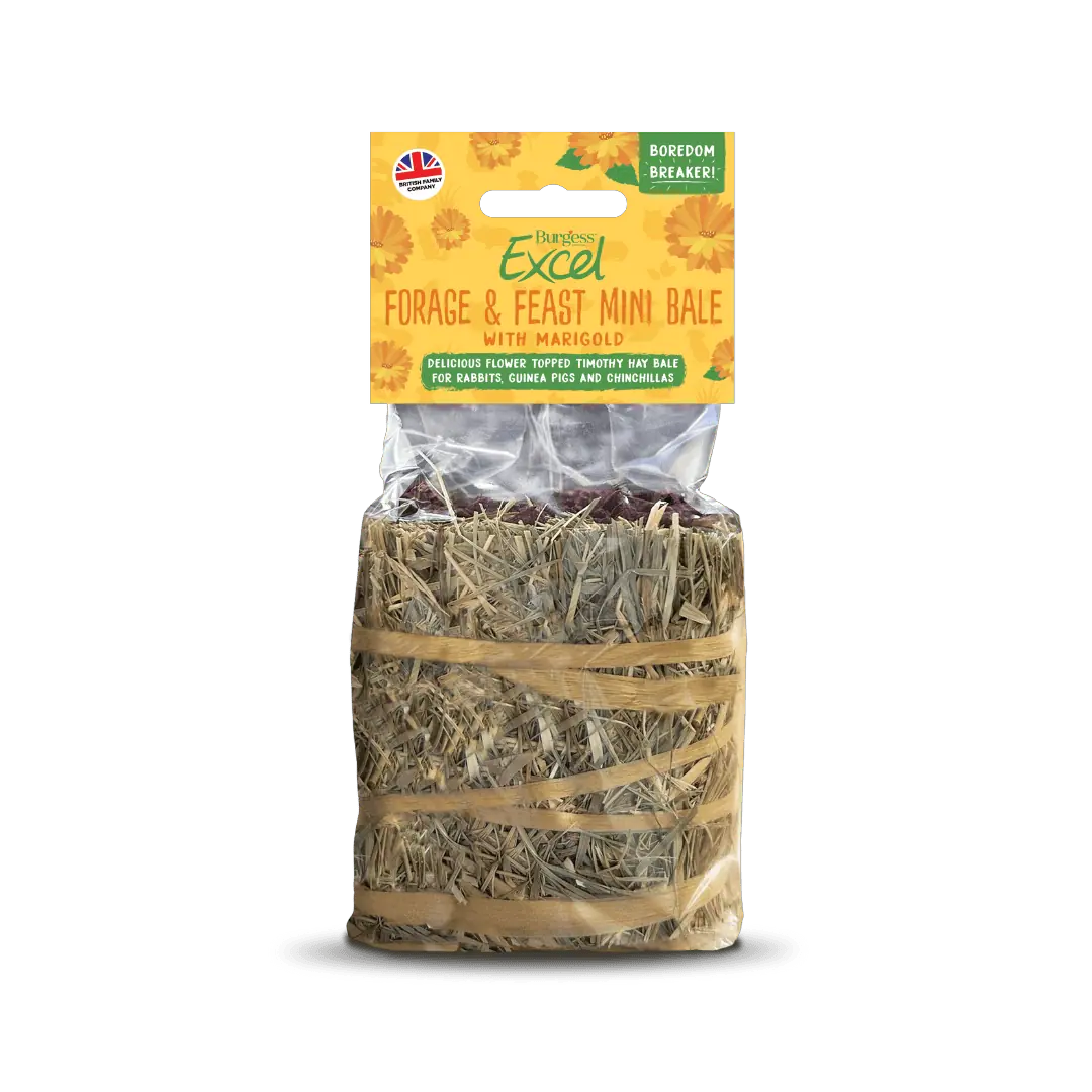 Excel Forage & Feast Mini Bale Marigold 100 gram