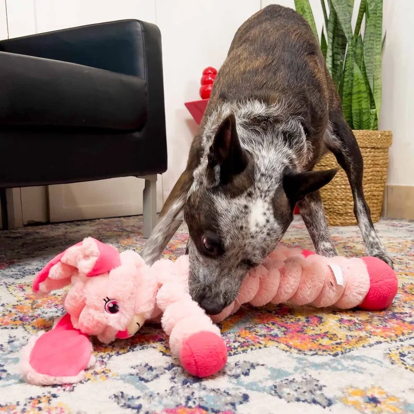 Shakers Crumples Bunny XL