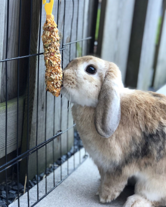 StarSnack stickies Fruit 2×56 gram