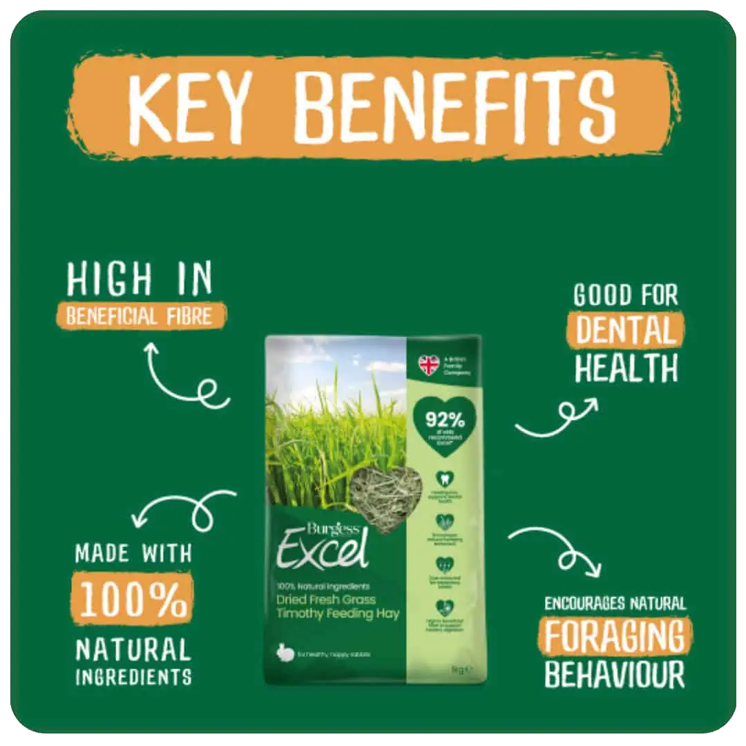 Hay Dried Fresh Grass 1 kg