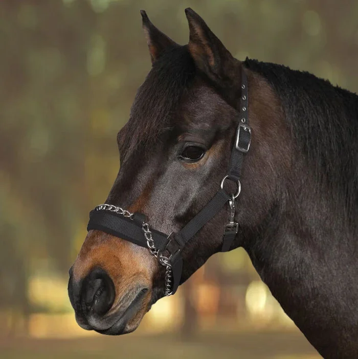 Grime m/kæde str. pony