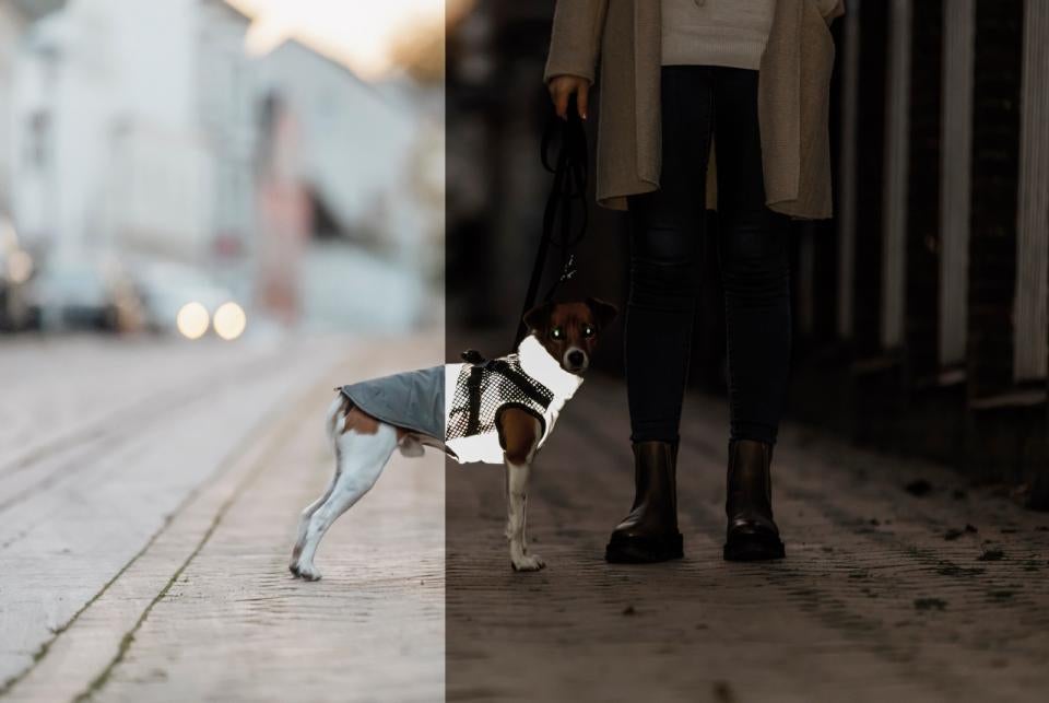 Pontis Reflect hundefrakke med sele