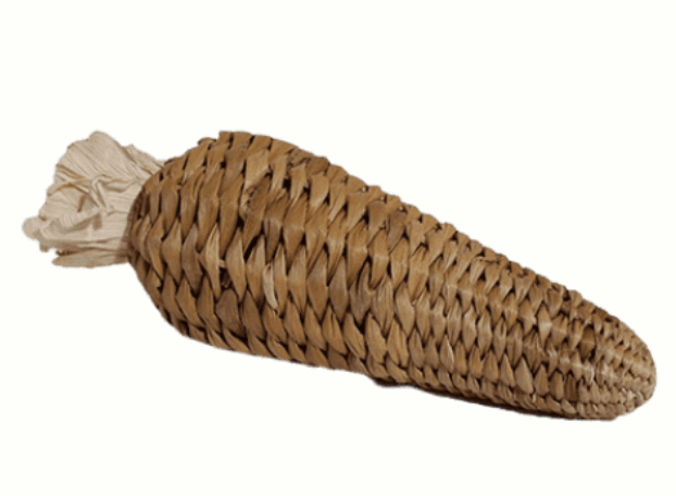 Banana Leaf Carrot Stuffer