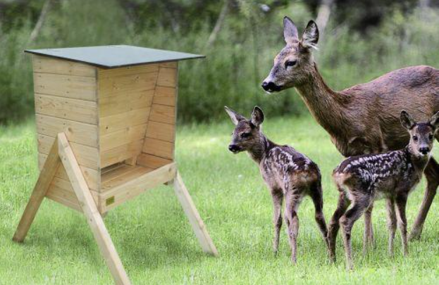 Foderautomat til råvildt 75 liter