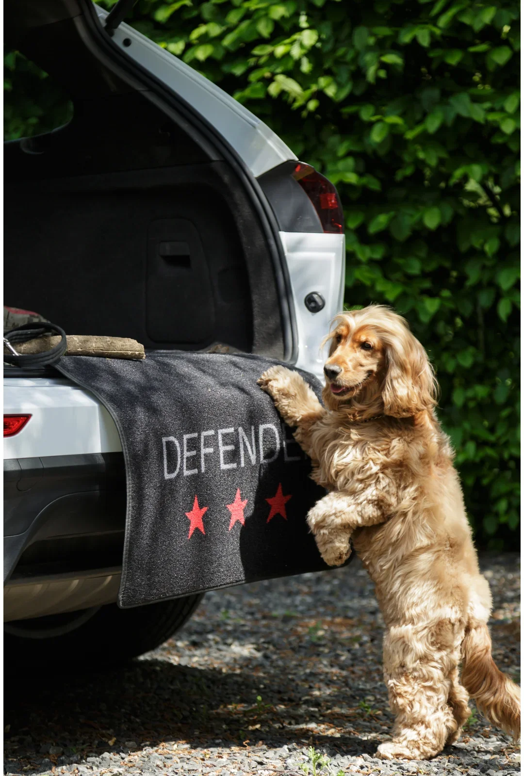 Bagagerums- & kofangermåtte Defender