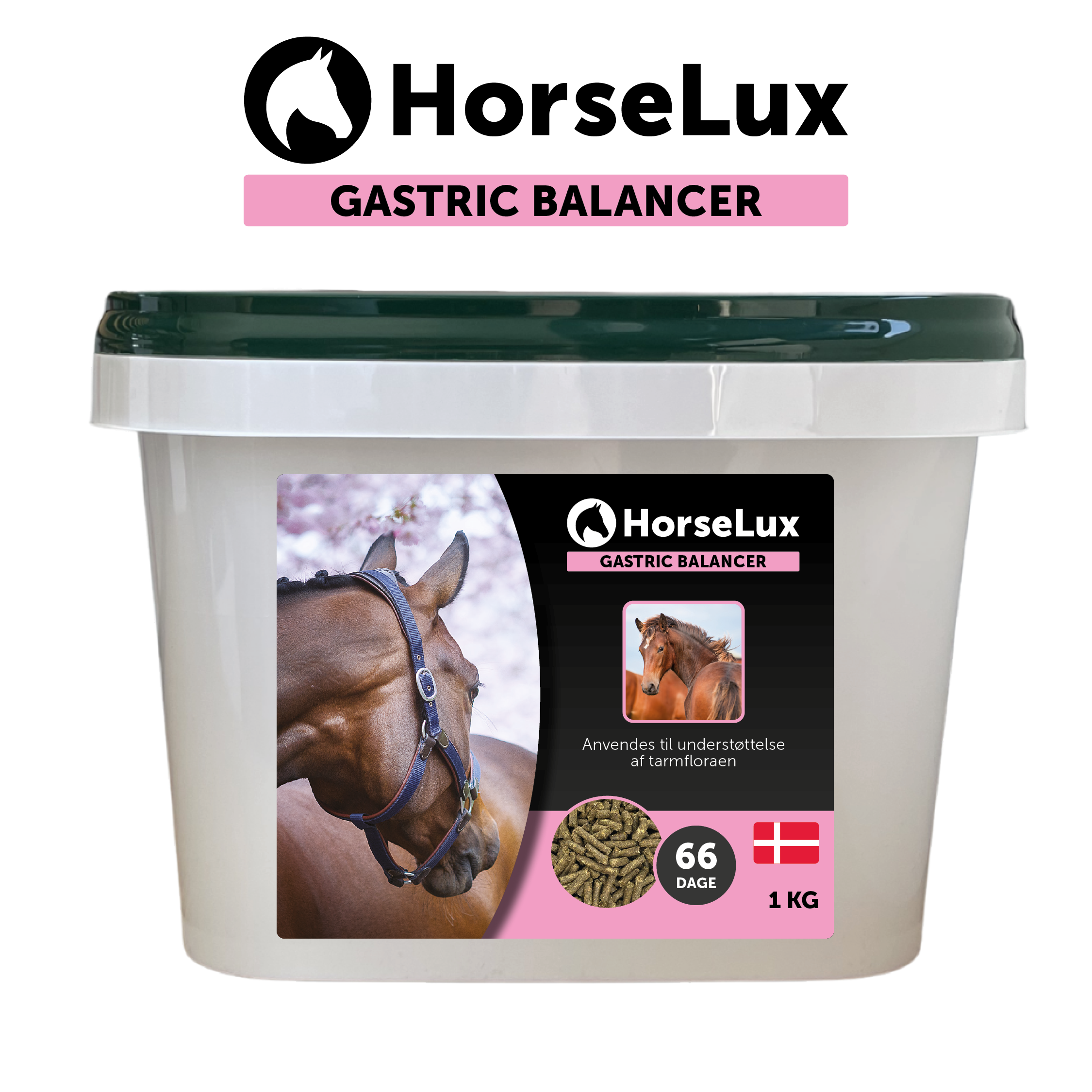 Gastric Balancer 1 kg