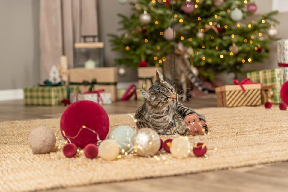 Xmas playing rod gingerbread man catnip 