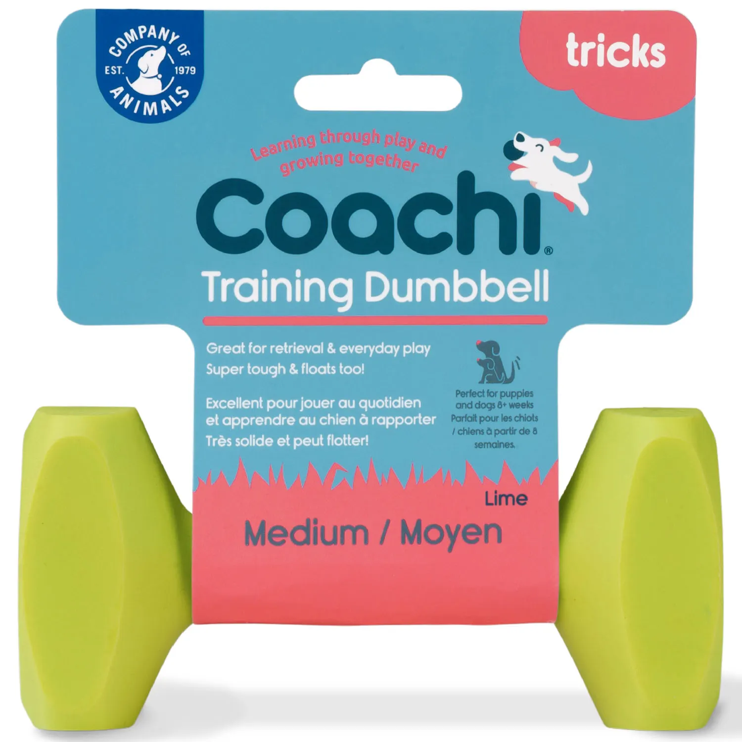 Training Dumbbell