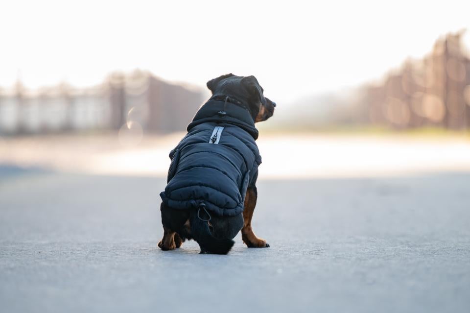Fir-Tech puffer hundedækken