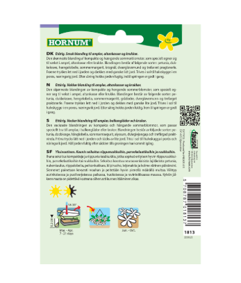 Blomsterfrø E Amsterdam krukke blå